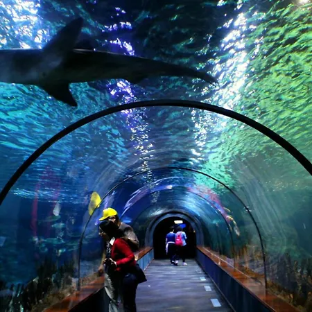 Апартаменти Lovely El Duque *