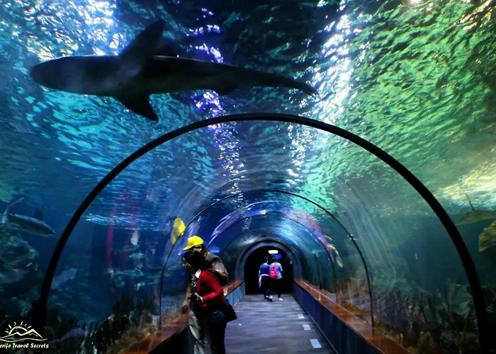 Apartment Lovely El Duque *